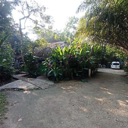 Hotel Cabanas Margarita & Ed Palenque Ngoại thất bức ảnh
